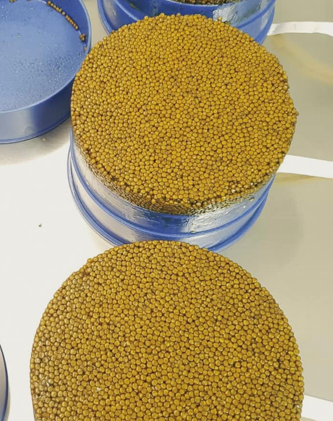 Royal Beluga Gold