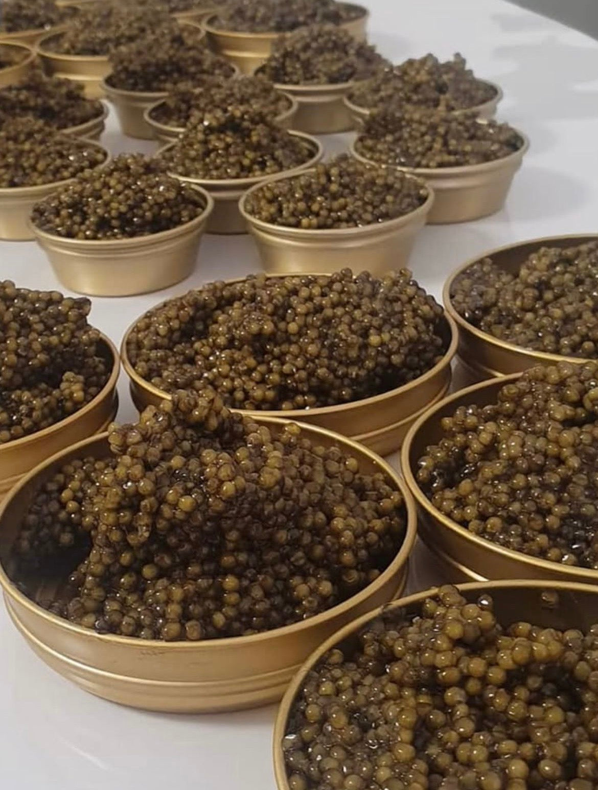 Caviar de Sturion