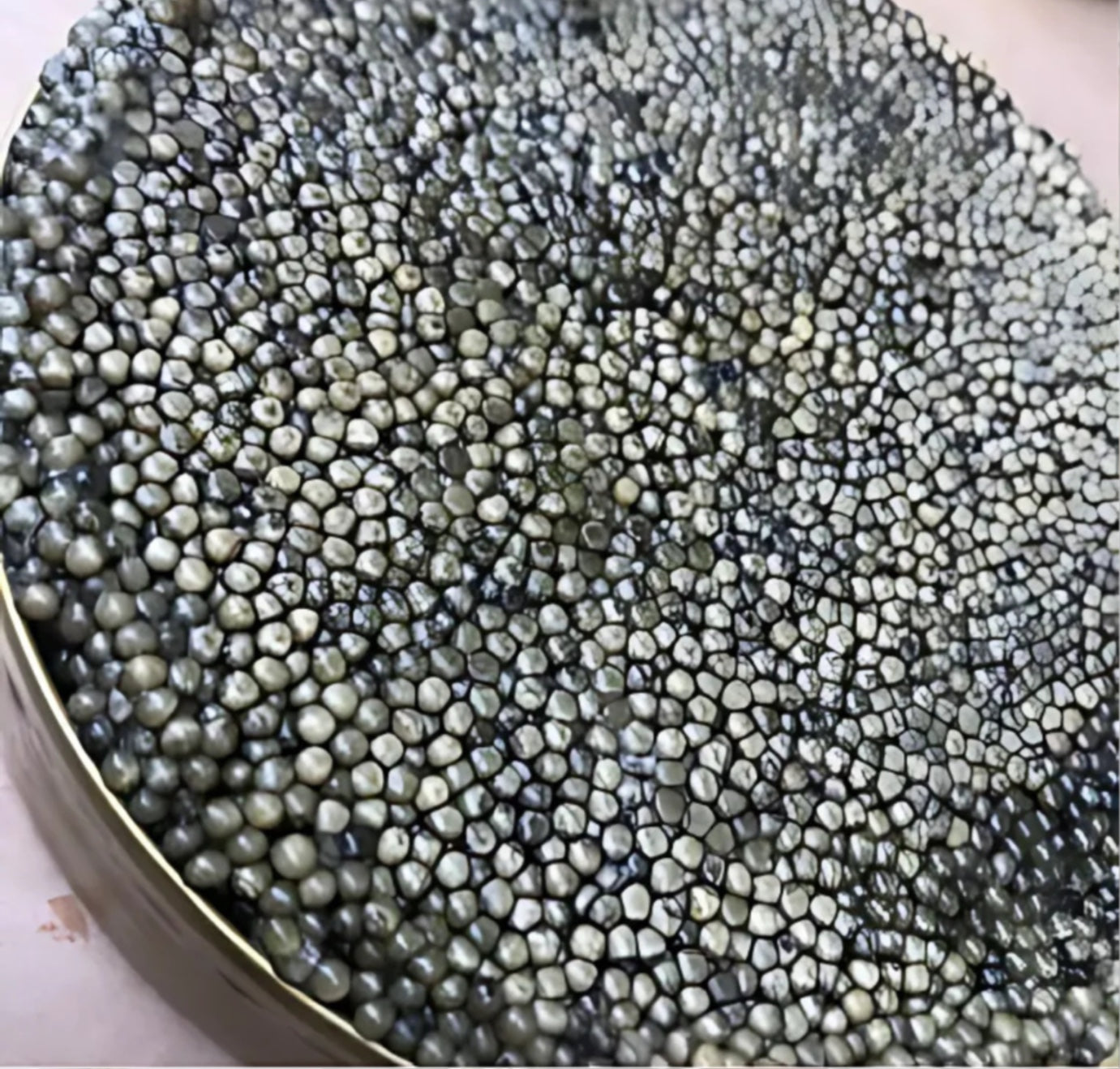 Caviar sturion royal beluga